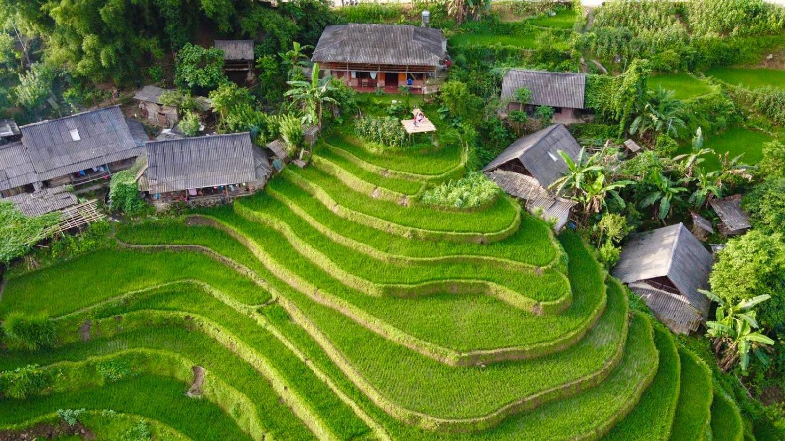 My'S Homestay Sapa Exteriér fotografie