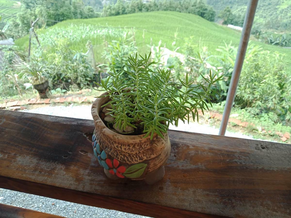 My'S Homestay Sapa Exteriér fotografie