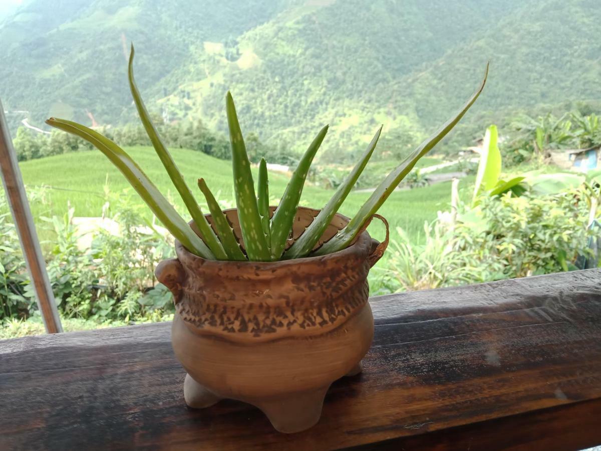 My'S Homestay Sapa Exteriér fotografie
